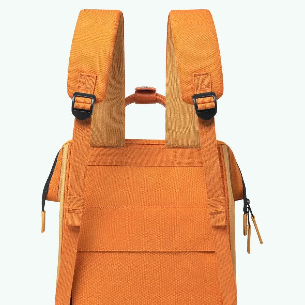 Backpack Adventurer Medium Grasse
